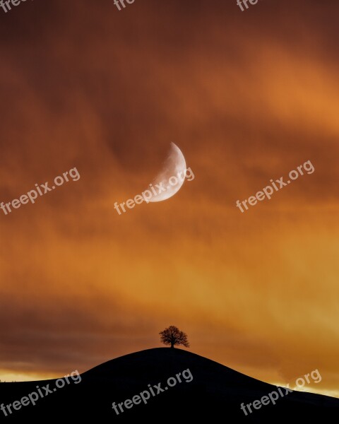 Moon Lonely Tree Landscape Sky