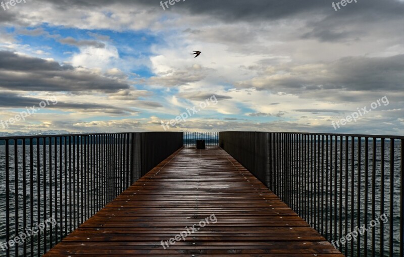 Lake Clouds Bridge Sky Bird