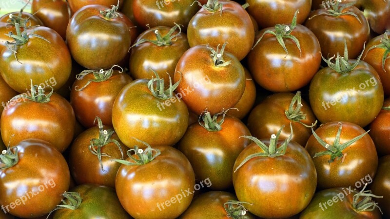 Tomatoes Vegetables Fresh Bio Healthy