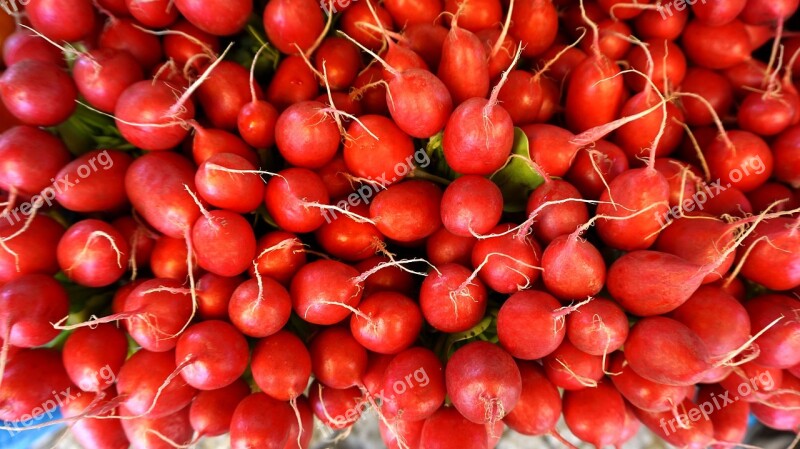 Radishes Vegetables Food Healthy Vitamins