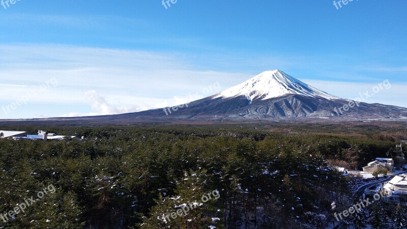 Japan Fuji Mountain Mt Fuji Forest