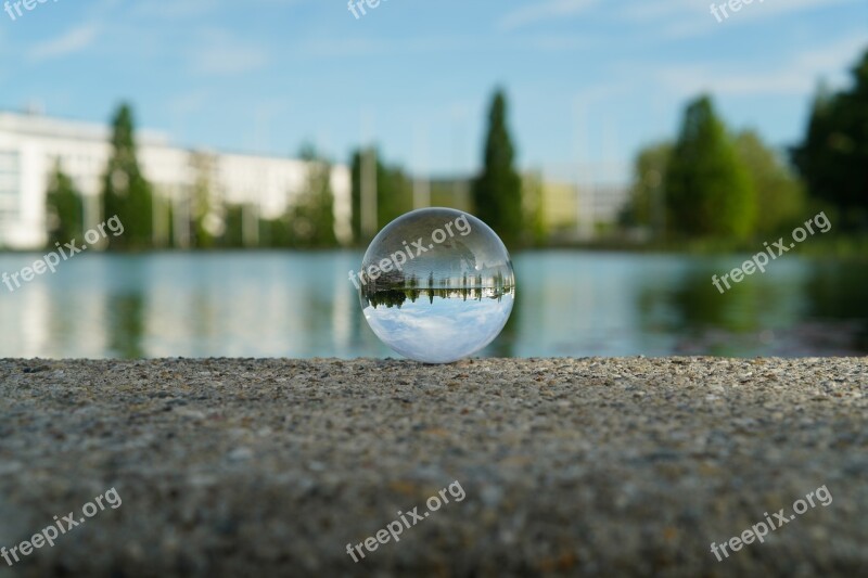 Lens Ball Reflection Mirroring Water Trees