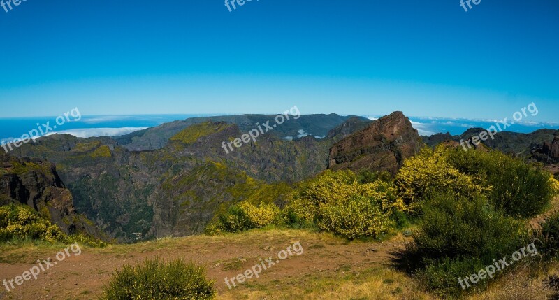 Plateau Madeira Broom Distant View Free Photos