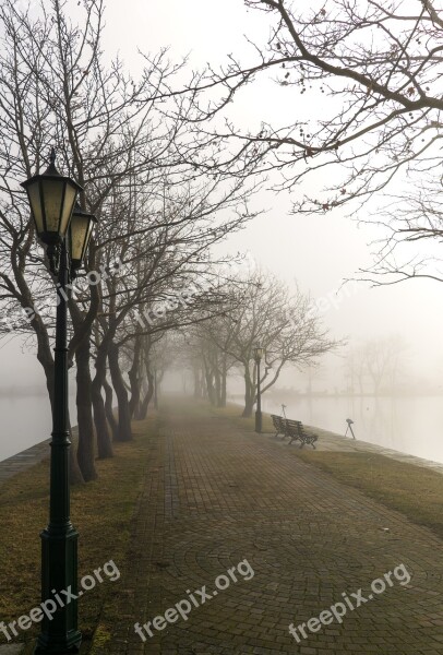 Fog Foggy Path Nature Landscape Trees