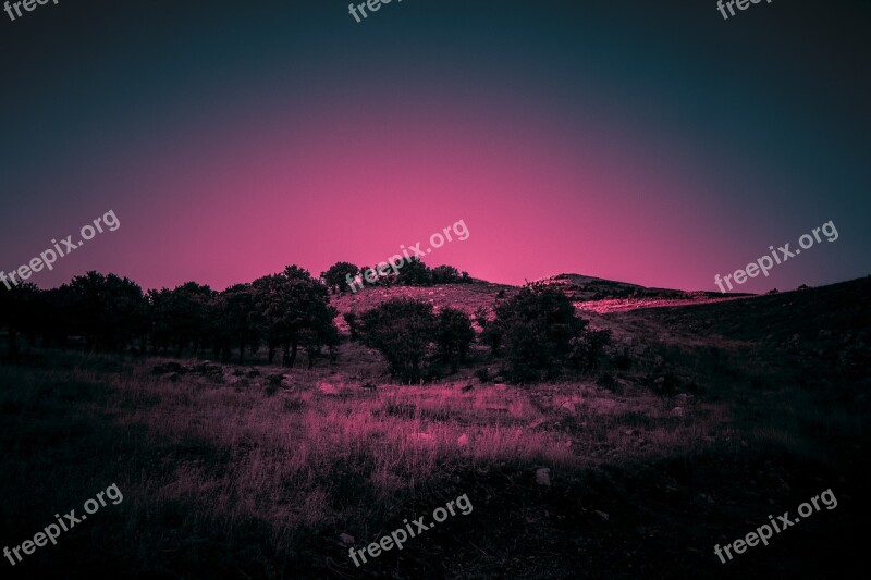 Nature Landscape Forest Trees Mountains