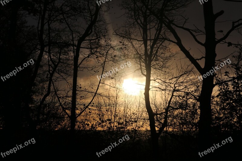 Landscape Sun Sunset Summer Field