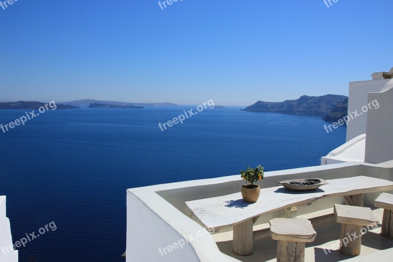 Santorini Plants Greece Nature Summer