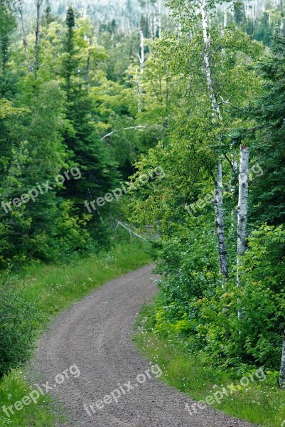 Journey Forest Woods Path Bend