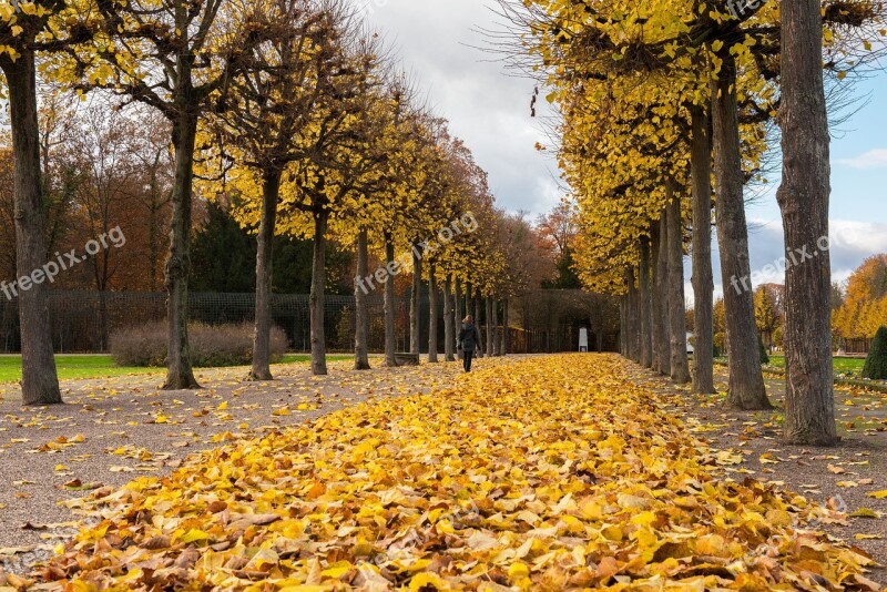 Palace Autumn Leaves Building Park