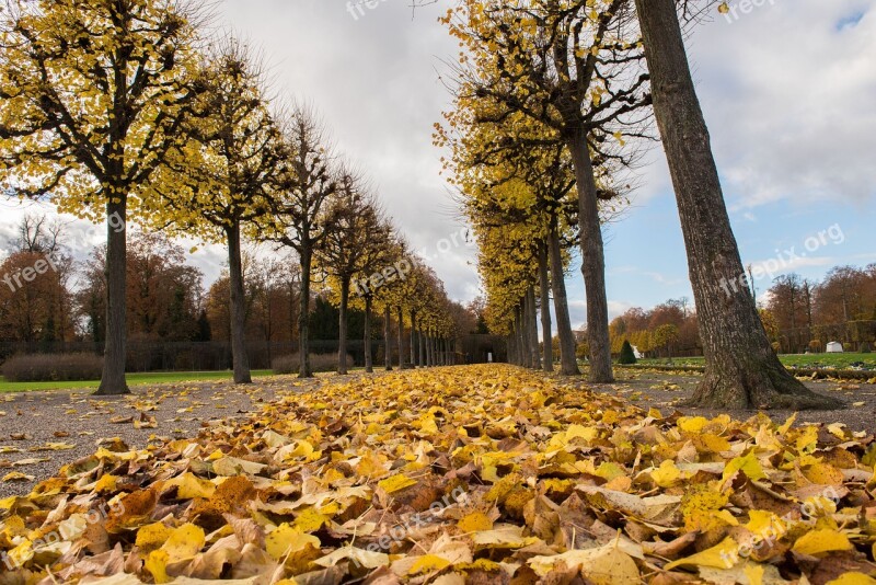 Palace Autumn Leaves Building Park