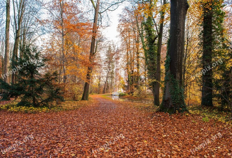 Palace Autumn Leaves Building Park