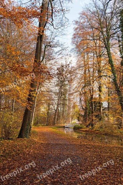 Palace Autumn Leaves Building Park