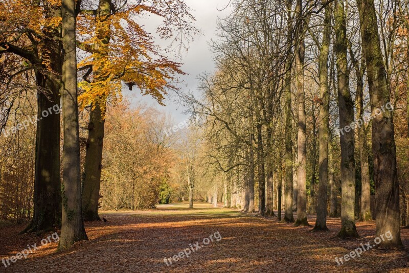 Palace Autumn Leaves Building Park