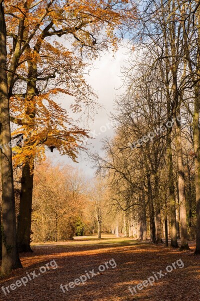 Palace Autumn Leaves Building Park