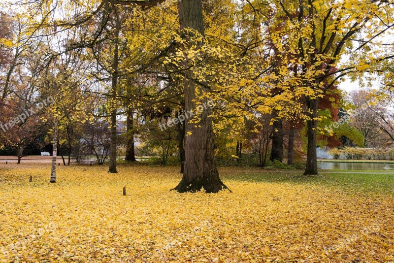 Palace Autumn Leaves Building Park