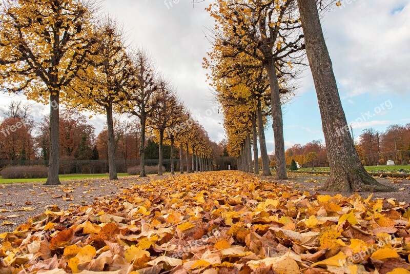 Palace Autumn Leaves Building Park