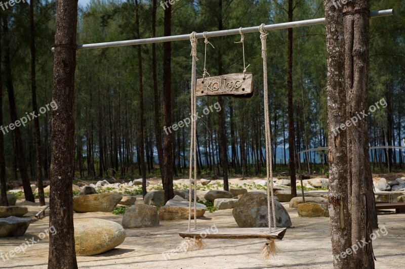 Forest Nature Tree Green Swing