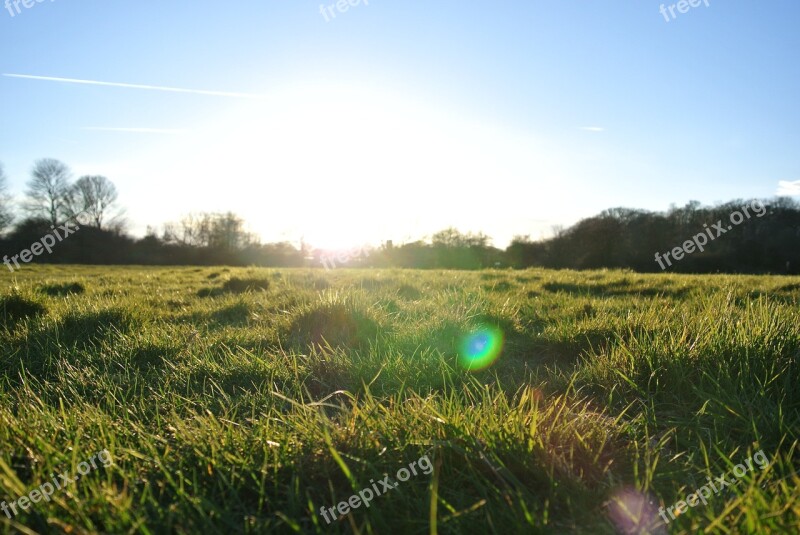 Landscape Sun Sunset Summer Field