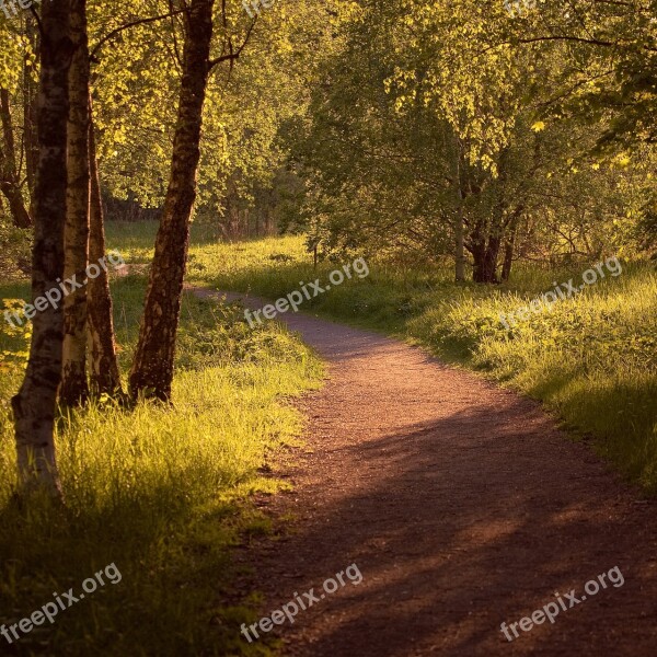 Nature Landscapes Sweden Summer Sunset