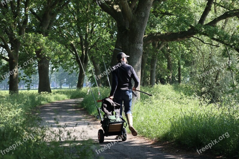 Fisherman Path Landscape Nature Trees