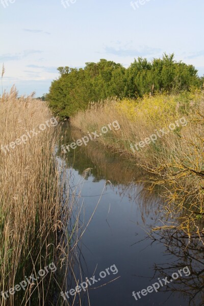 Marais Poitevin Marsh Nature Wild Charente