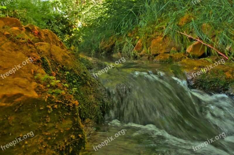 Bach Creek Water Landscape Nature