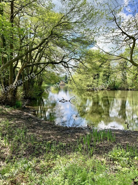 Lake Trees Water Nature Landscape