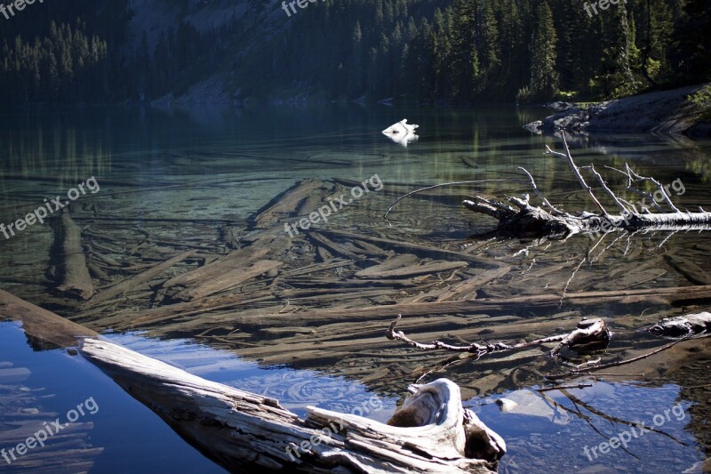 Landscape Water Nature Tree Branches