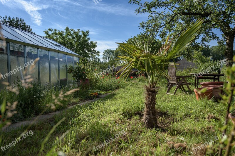 Greenhouse Garden Idyllic Palm Vegetable Garden