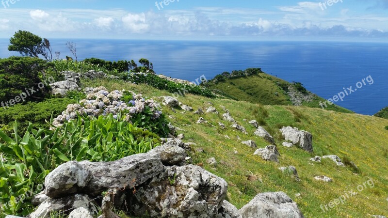 Azores Flores Hydrangea Ocean Atlantic