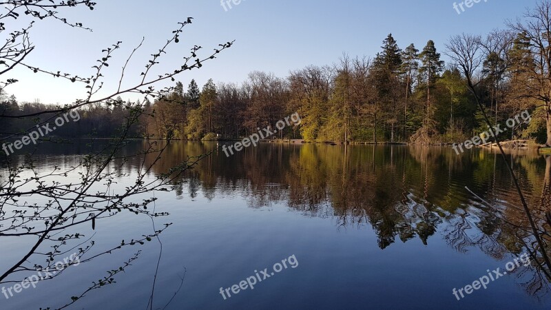 Scenery Lake Feuersee Stuttgart Spring