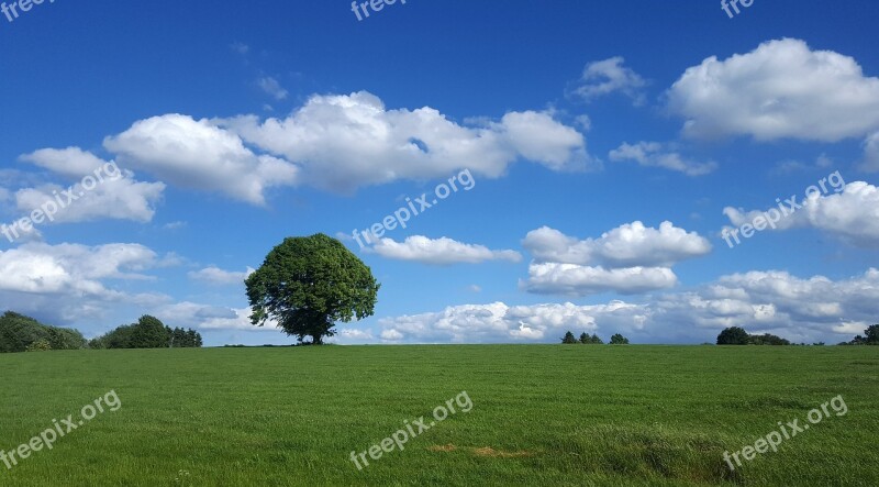 Landscape Sky Clouds Tree Atmosphere