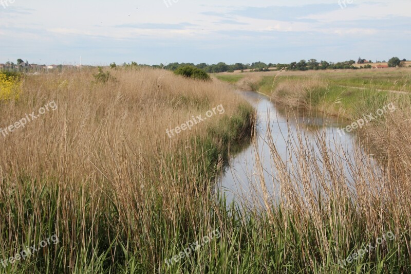 Marais Poitevin Marsh River Water Wild Nature