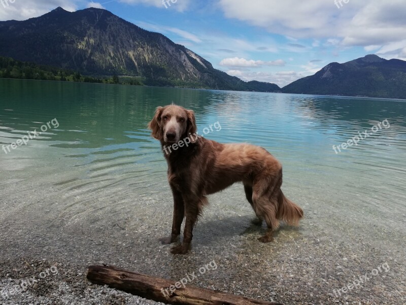 Lake Walchensee Bavaria Sky Mountains