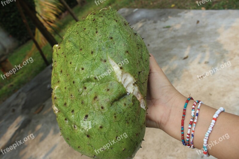 Fruit Guanabana Healthy Green Delicious