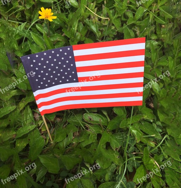 Memorial Day Flag American Usa Patriotic