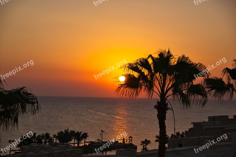 Sunrise Egypt Red Sea Palm Sea