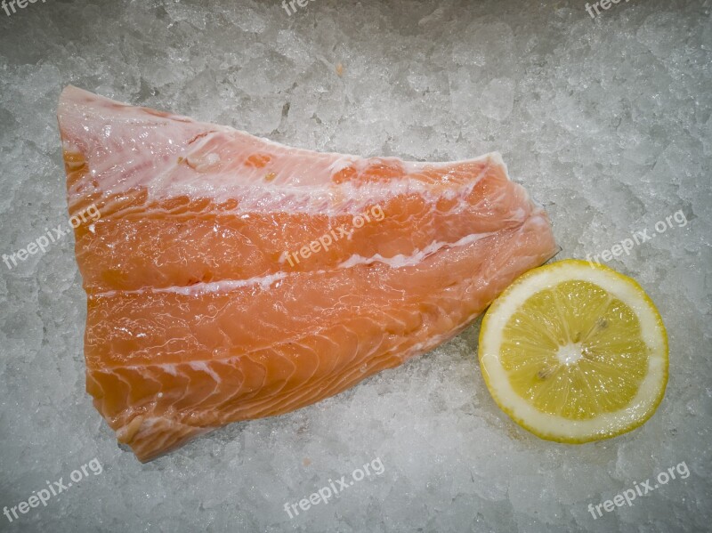 Salmon Fish Vitamin Fresh Red