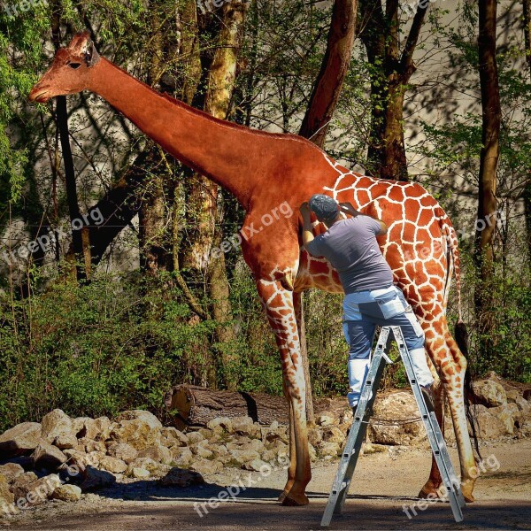 Giraffe Photomontage Fantasy Composing Paint