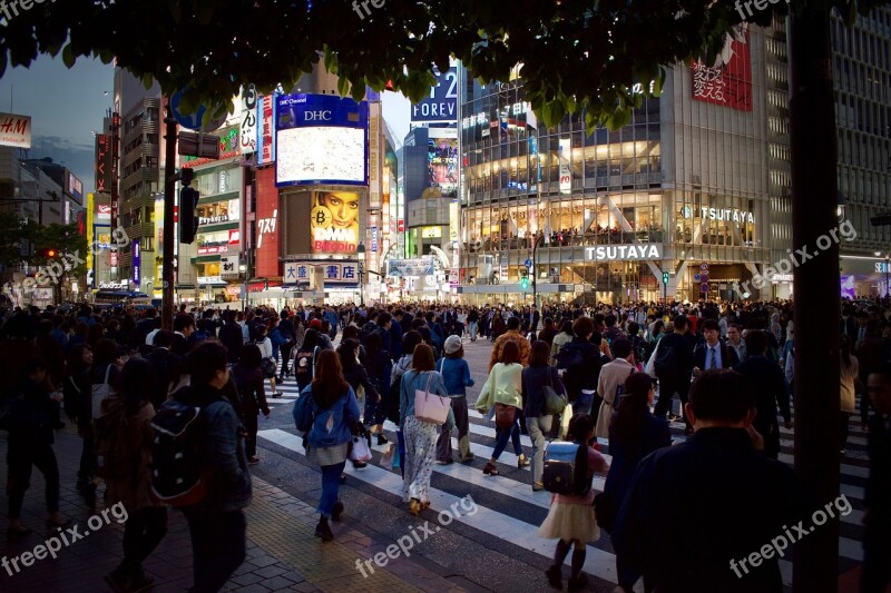 Japan Human Tokyo Night Lights