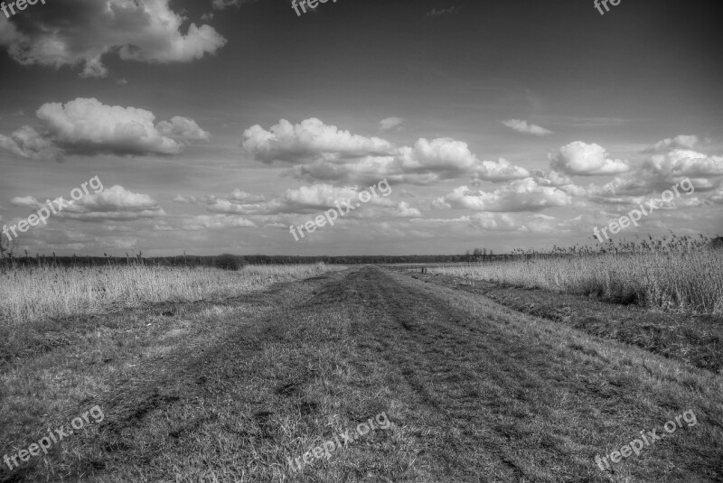 Field Sky Clouds Grass Meadow