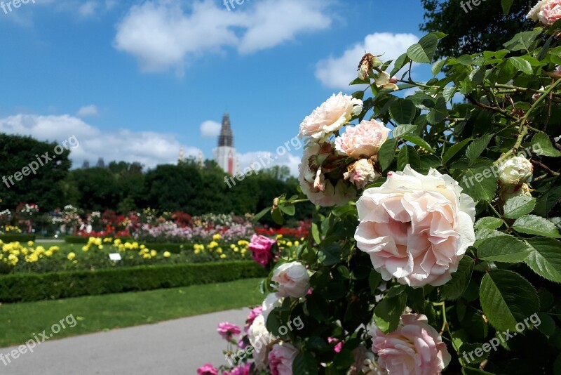 Vienna Park People's Garden Roses Parks