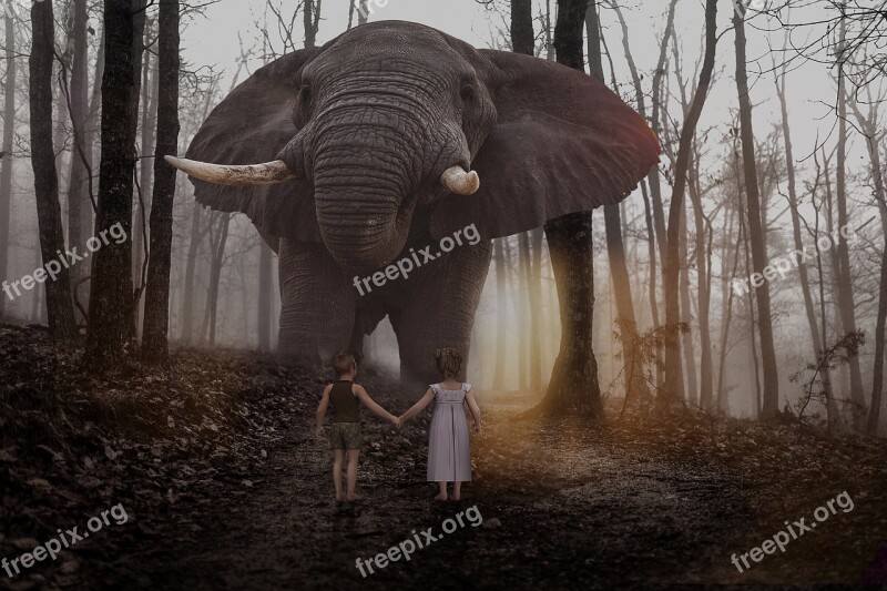 Manipulation Animal Elephant Big Children