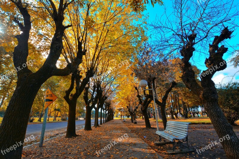 Autumn Plaza Colors Park Beautiful