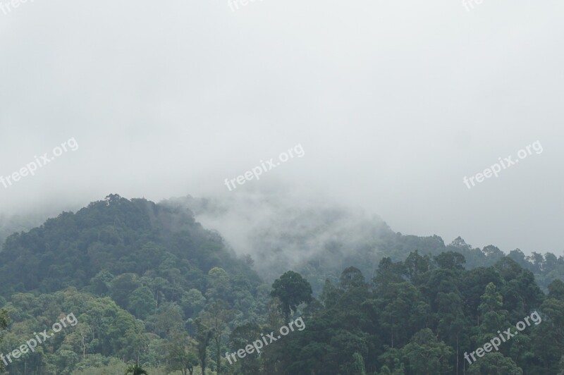 Mountains The Forests Nature Tree Travel