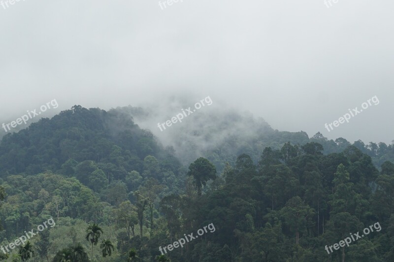 Mountains The Forests Nature Tree Travel