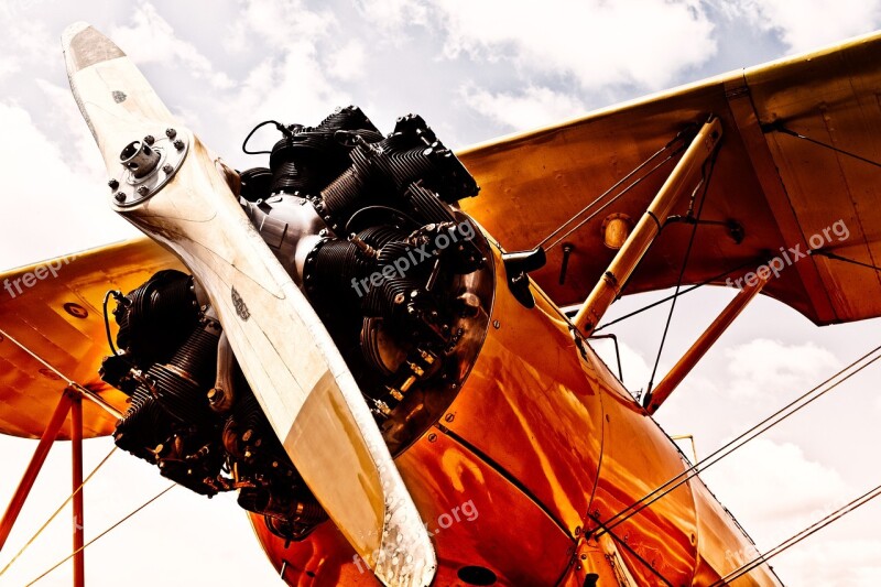 Plane Yellow Warbird Airplane Aircraft