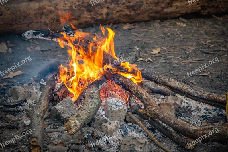 Bonfire Fire Firewood Coals Stones