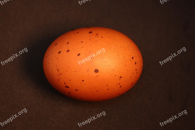 Egg Brown Food Eggshell Hen's Egg