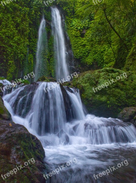 Waterfall Nature Landscape Water Free Photos